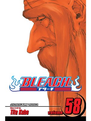 Bleach, Volume 58 - ebook